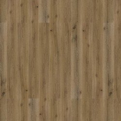 Durham – 8 mm Royal Collection